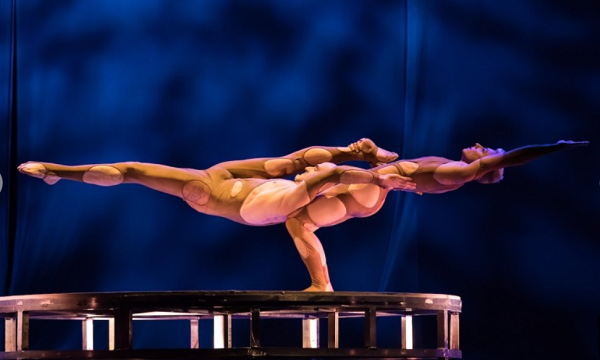 Le Cirque WTP Alis Roma gennaio 2023