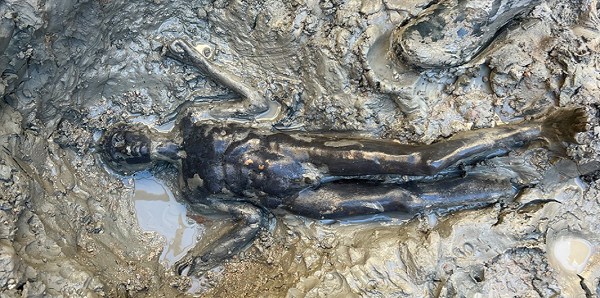 Gli Dei ritornano. I bronzi di San Casciano. Mostra al Quirinale 2023